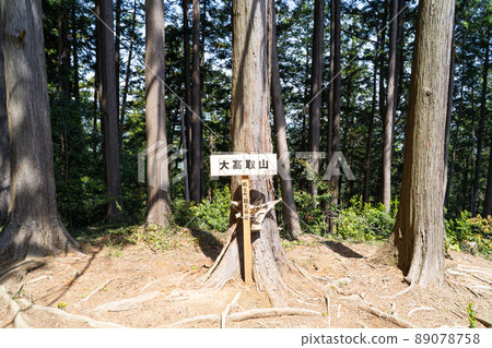 大高鳥山頂（武藏越越徒步路線） 89078758