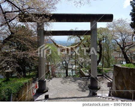 The largest seamless stone-built torii in Japan (Eboshiyama Hachimangu) 89079563