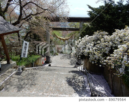The largest seamless stone-built torii in Japan (Eboshiyama Hachimangu) 89079564