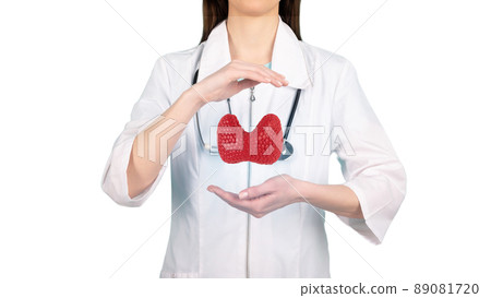 Female doctor holding virtual Thyroid Gland in hand. 89081720
