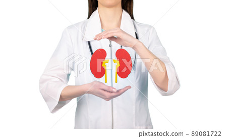 Doctor hands holding kidneys shape. Health care, medical insurance concept. 89081722