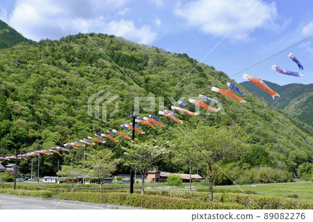 Carp streamer Carp streamer 89082276