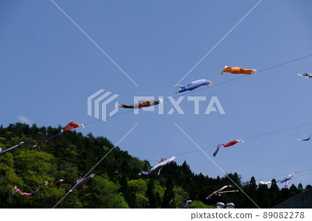 Carp streamer Carp streamer 89082278