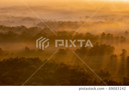 釧路沼澤, 釧路, 雲海, 沼澤, 日出, 北海道, 觀光景點, 白色, 棕色, 霧, 蒸汽, 清晨, 靜謐時光, 雲海流 89083142