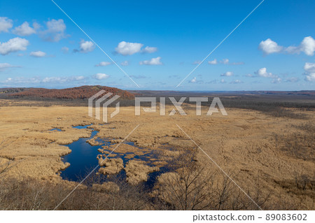 Scenery with clouds seen from the Kottaro Swamp Observatory in autumn 89083602