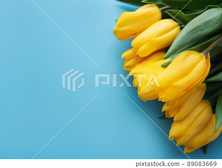 Ukraine flag colors in tulip flower Ukraine flag colors in tulip flower 89083669