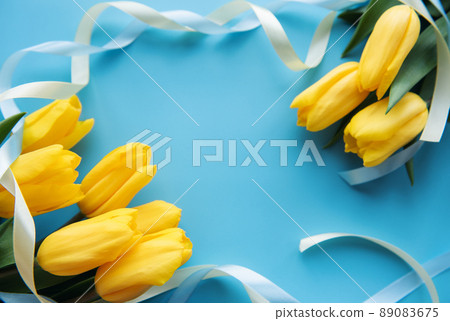 Ukraine flag colors in tulip flower Ukraine flag colors in tulip flower 89083675