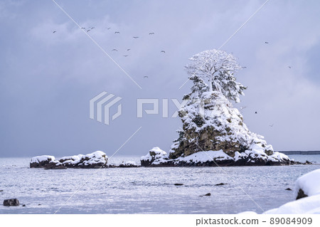 《富山縣》冬日天晴海岸/白雪皚皚的恩內瓦 89084909