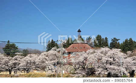 山梨縣清春藝術村的櫻花和拉什 山梨縣清春藝術村的櫻花和拉什 89085764