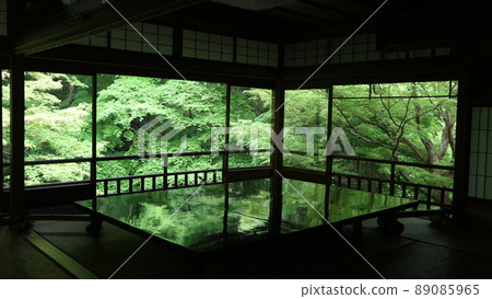 Spring special worship Rurikoin 89085965