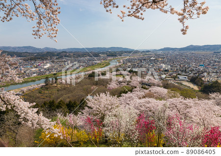 船岡城跡公園（宮城縣）的櫻花 89086405