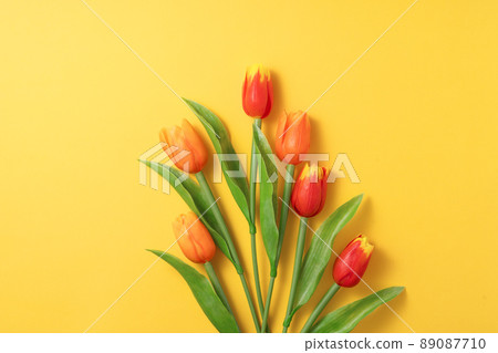 Tulip Bouquet Mother's Day Gift Tulip Mother's Day 母の日 チューリップ Tulip Bouquet Mother's Day Gift Tulip Mother's Day 母の日 チューリップ 89087710