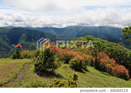 中倉山山辻（栃木縣日光市） 89088319