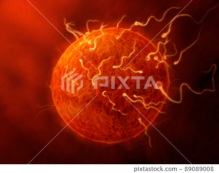 sperm and egg - illustration of sperm fertilizing the egg, inside the female genital organs 89089008