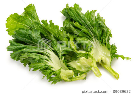 Banshu Kobuna, a traditional vegetable Banshu Kobuna, a traditional vegetable 89089622