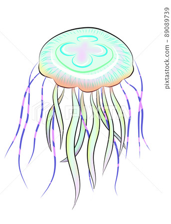 海中兇猛的水母 89089739