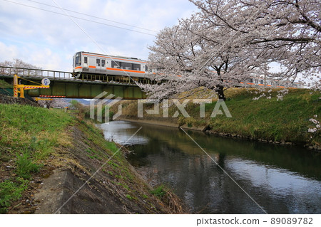 堺川櫻花和高山本線 Kiha 75 89089782