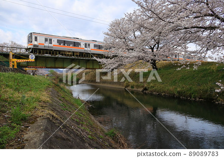 堺川櫻花和高山本線 Kiha 75 89089783