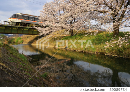 堺川櫻花和高山本線 Kiha 85 89089784