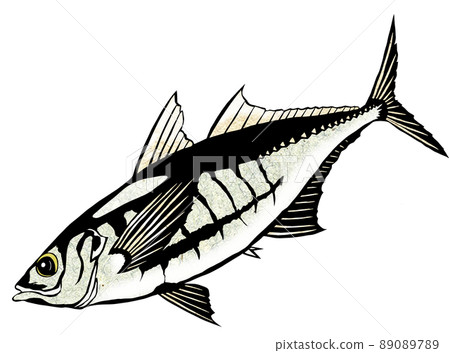 生魚片最好的竹莢魚 89089789