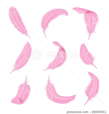 Pink feathers. Delicate color realistic bird feathering. Smooth and fluffy plume. Glamorous boa weightless elements. Flamingo wings plumage. Vector differently curved isolated quills set Pink feathers. Delicate color realistic bird feathering. Smooth and fluffy plume. Glamorous boa weightless elements. Flamingo wings plumage. Vector differently curved isolated quills set 89090931