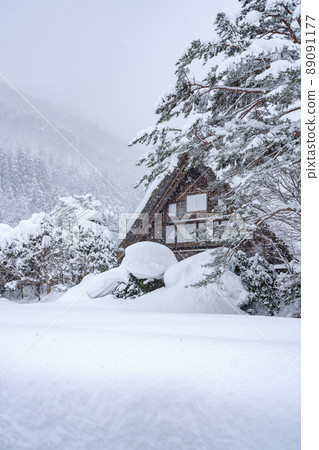 《Gifu Prefecture》 Snow-covered Shirakawa-go / winter gassho-zukuri village 《Gifu Prefecture》 Snow-covered Shirakawa-go / winter gassho-zukuri village 89091177