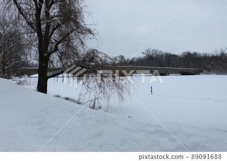 有樹的冬天風景 有樹的冬天風景 89091688