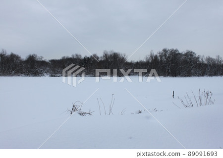 雪中的卡內基湖 雪中的卡內基湖 89091693