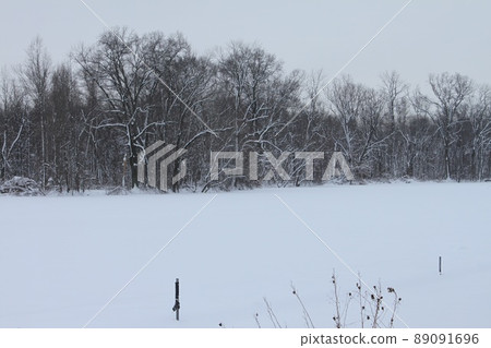 雪中的卡內基湖 89091696