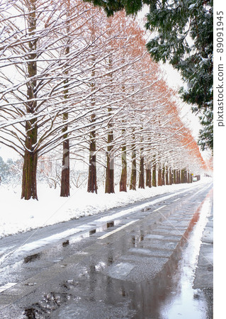 Michi Namiki in winter 89091945