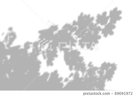 Summer background shadows from the foliage of a tree maple on a white wall. White and black background for overlay on mockup 89091972