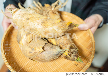 Food material Freshly dug bamboo shoots Food material Freshly dug bamboo shoots 89092080