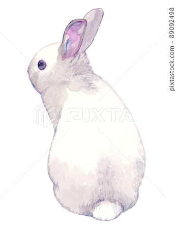 兔子水彩插圖 89092498