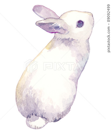 兔子水彩插圖 兔子水彩插圖 89092499