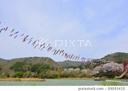 Blue sky, cherry blossoms and carp streamer Shirataka Town, Yamagata Prefecture Blue sky, cherry blossoms and carp streamer Shirataka Town, Yamagata Prefecture 89093410