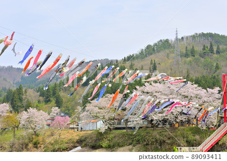 藍天、櫻花和鯉魚旗山形縣白鷹鎮 藍天、櫻花和鯉魚旗山形縣白鷹鎮 89093411