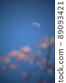 櫻花和月亮 89093421