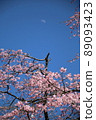 櫻花和月亮 89093423