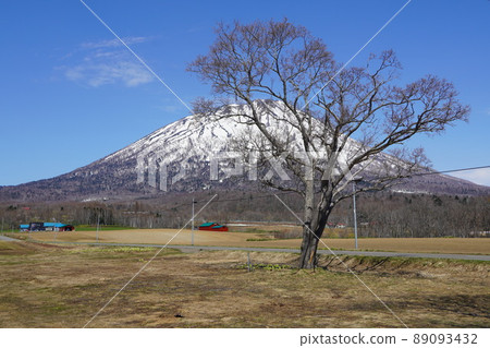 Mt. Yotei (Makkari Village) seen from the site of Tomisato Elementary School 89093432