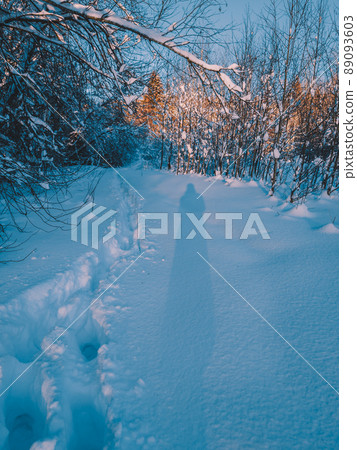 The shadow of a human and human deep tracks in the snow on a sunset in winter. Hiking through a snow-covered sunny forest. The shadow of a human and human deep tracks in the snow on a sunset in winter. Hiking through a snow-covered sunny forest. 89093603