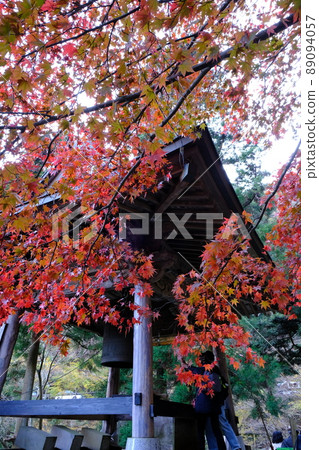 Japan's fiery autumn leaves 89094057