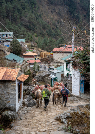Pack Horses in Mountain Village 89094409