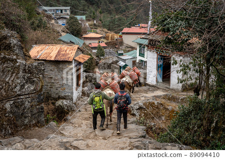 Pack Horses in Mountain Village Pack Horses in Mountain Village 89094410