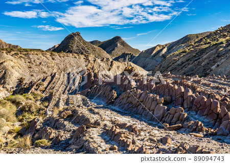 Dragon Tail, Colas de Dragon in Tabernas Desert in Almeria, Spain 89094743