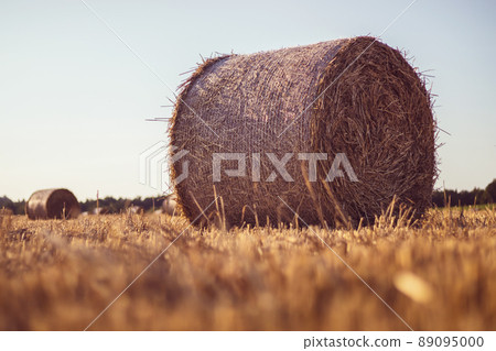 Straw bales on a stubble field Straw bales on a stubble field 89095000