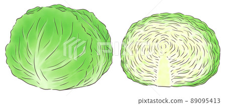 One whole cabbage and half (one color of line) 89095413