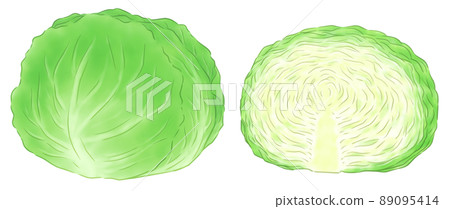 One whole cabbage and half One whole cabbage and half 89095414