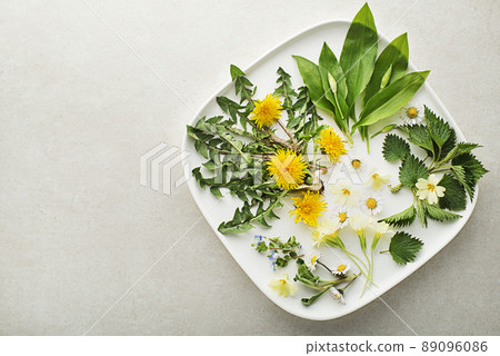 Spring plants food 89096086