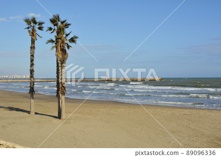Palm trees on the beach in summer Palm trees on the beach in summer 89096336