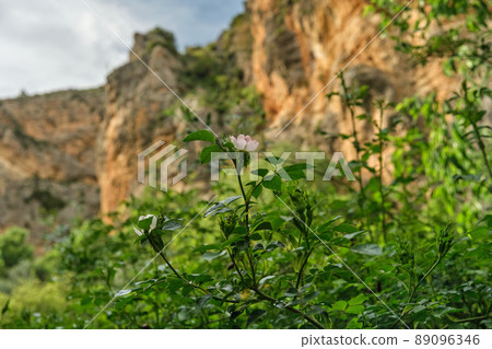 landscape of mountains and green grass landscape of mountains and green grass 89096346